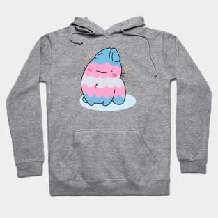 Trans Pride Rabbit Hoodie